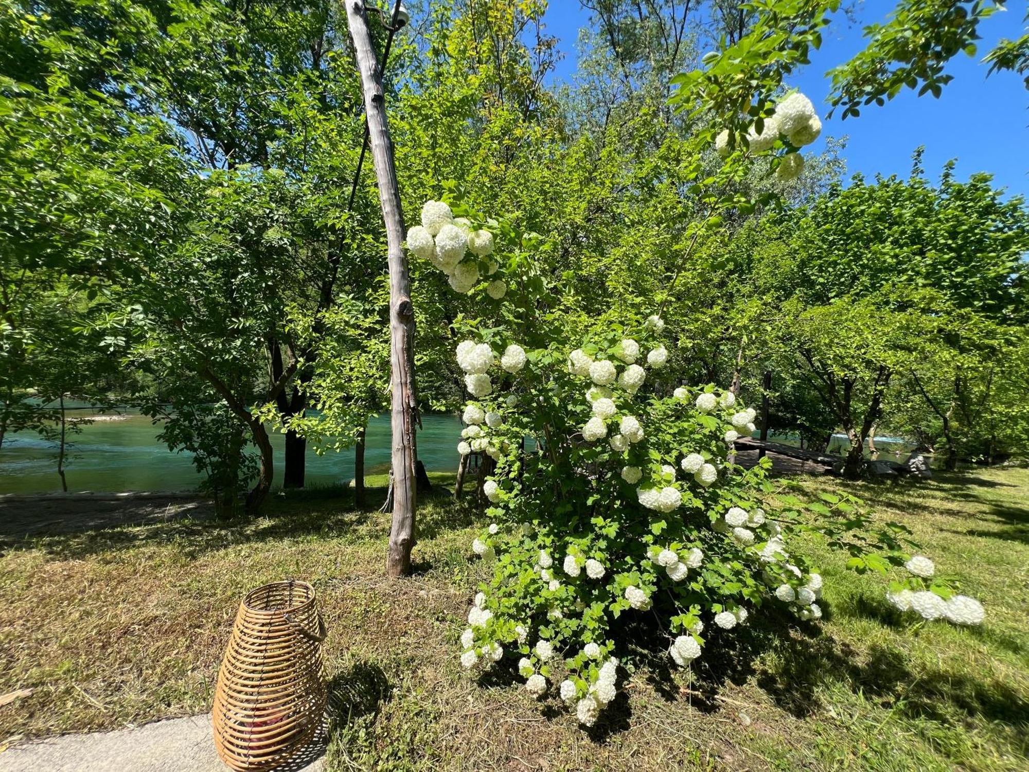 Anur Apartment Bihać Extérieur photo